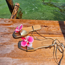 Cargar imagen en el visor de la galería, Orquídea Sunset